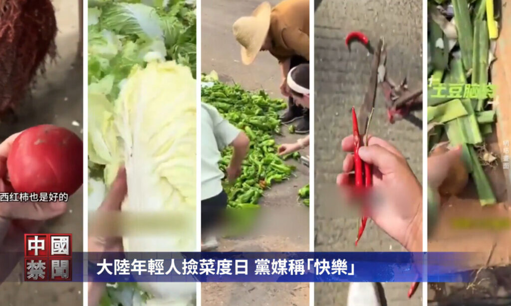 市場に捨てられた野菜で命をつなぐ人々＝中国【動画あり】