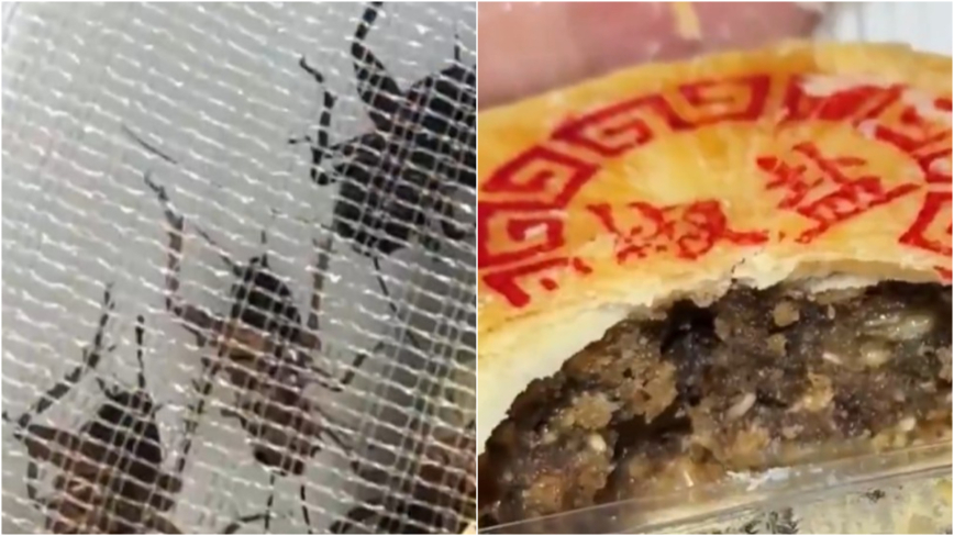 「子供のころの味を返して!」 中秋節前にコオロギの粉末使用した月餅が登場＝中国【動画あり】