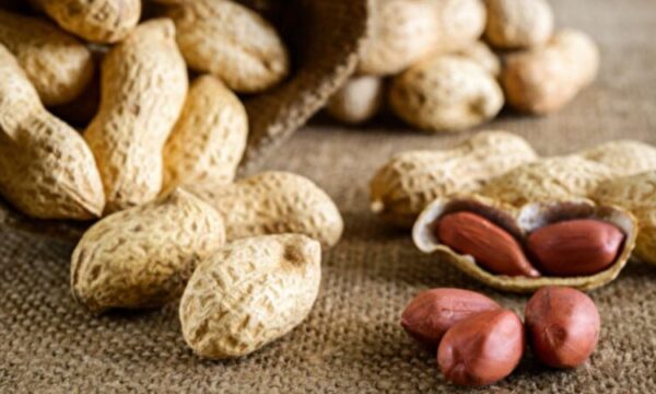 ピーナッツや箸に潜む「アフラトキシン」　肝臓がんを防ぐ3つの対策