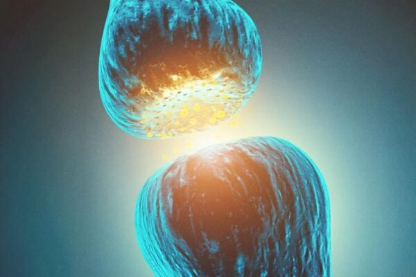 不安や不眠に悩まされている？　その原因は「GABA不足」かも