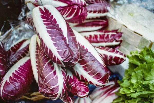 苦味がカギ？　消化と血糖を整える意外なメカニズム