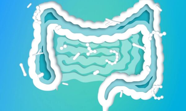 腸内細菌はどのように食欲と体重に影響するのか