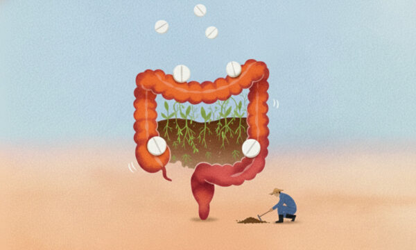 胃腸は「体の土」だった ──畑と同じように、薬で揺らぐ腸内環境