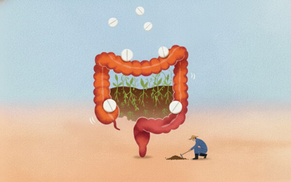 胃腸は「体の土」だった ──畑と同じように、薬で揺らぐ腸内環境