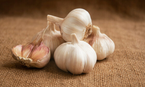にんにくの力を科学が再発見：心臓保護から免疫強化まで