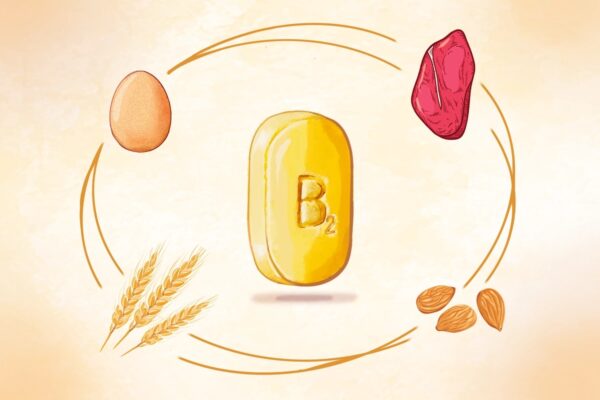 ビタミンB2の教科書：「忘れられたビタミン」が片頭痛と9つの症状を改善