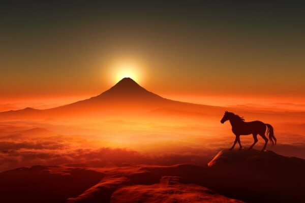 【年頭のご挨拶】激動する時代の転換点に立ち　不変の「真実」を共に探求する一年に