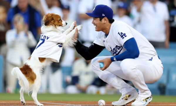 全米が「世界一クールな犬」と熱狂！　「デコピン」ドジャースタジアムでの自主トレ姿が話題に