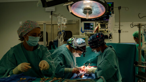 臓器提供を正義行為に　中国の新制度に疑問噴出