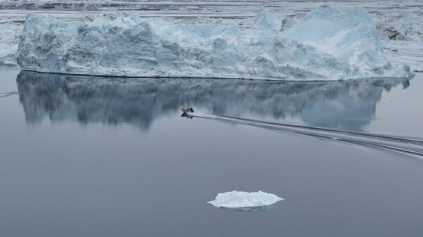 グリーンランド鉱業権をめぐり米国介入　中共の希土類戦略に影