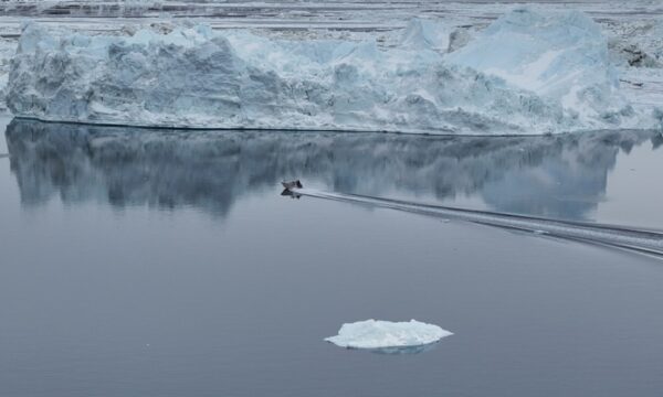 グリーンランド鉱業権をめぐり米国介入　中共の希土類戦略に影