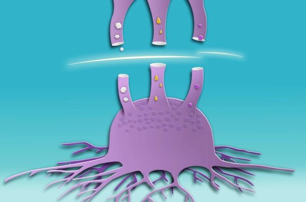 糖だけではない　がんが使う「代替燃料」と新たな治療戦略