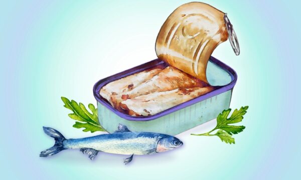 イワシ：心臓代謝と骨の健康を高める栄養の宝庫