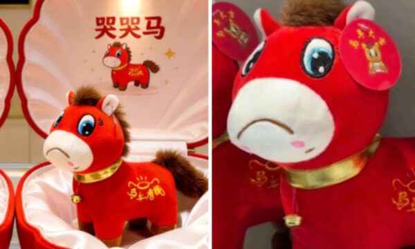 中国「泣き馬」爆売れの真相　若者「泣けない現実」を代弁