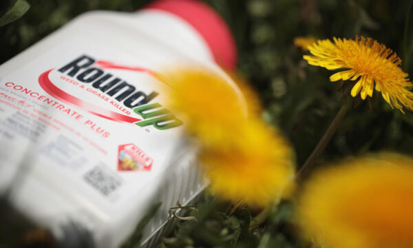 独バイエル　ラウンドアップ訴訟で最大72.5億ドル和解案　日本では販売継続