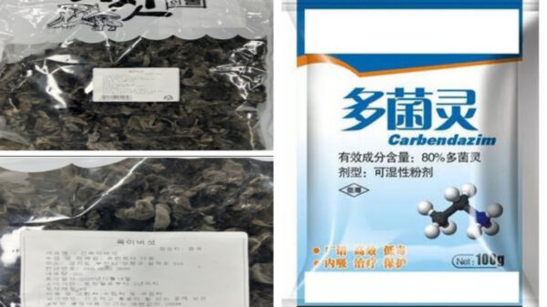 中国産黒きくらげから農薬63倍　韓国が緊急回収