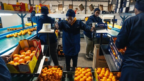 中共のアフリカ「ゼロ関税」政策に潜む政治的思惑