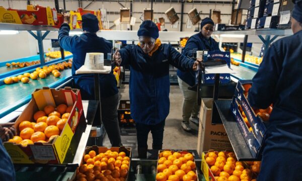 中共のアフリカ「ゼロ関税」政策に潜む政治的思惑