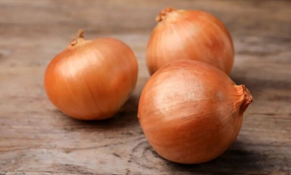 玉ねぎの栄養パワー　腎臓ケアと6つの健康効果
