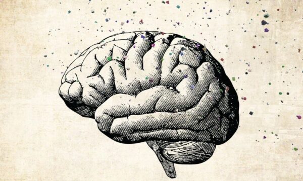 脳の浄化：毒素による認知機能低下を防ぐために