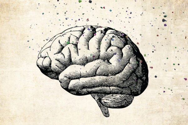 脳の浄化：毒素による認知機能低下を防ぐために