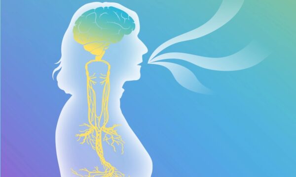 迷走神経刺激がPTSD回復を支える可能性