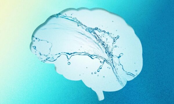 脳の老廃物を流す仕組み　アルツハイマー予防の鍵