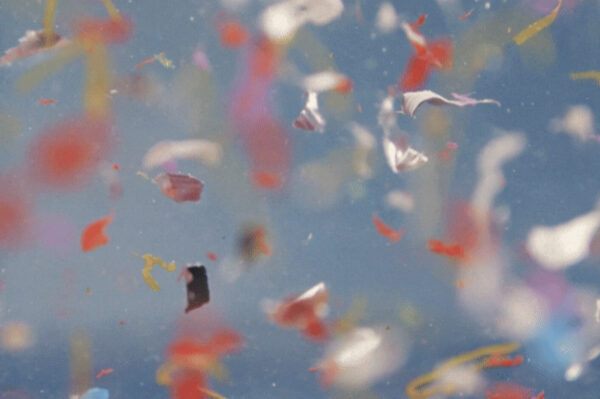 避けきれないマイクロプラスチック　日常習慣で影響を減らす方法