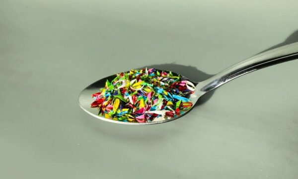 人間の骨からマイクロプラスチックが検出——老化加速と骨弱化の懸念