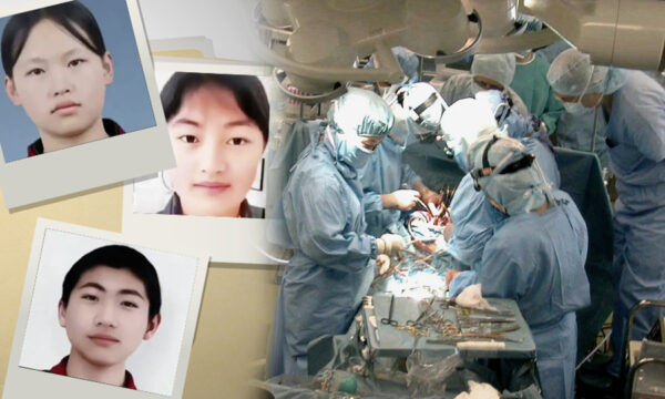 中国本土で約800人が署名　臓器移植の調査と一時停止求める