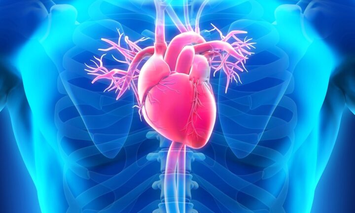 口内の細菌が心臓リスクを引き起こす可能性も