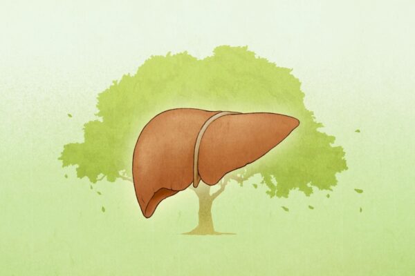 肝は気の流れを調整する臓　怒りが乱す仕組み