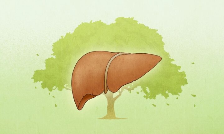 肝は気の流れを調整する臓　怒りが乱す仕組み