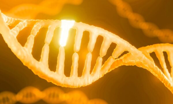 遺伝子は運命ではない　生活で変わる健康の可能性