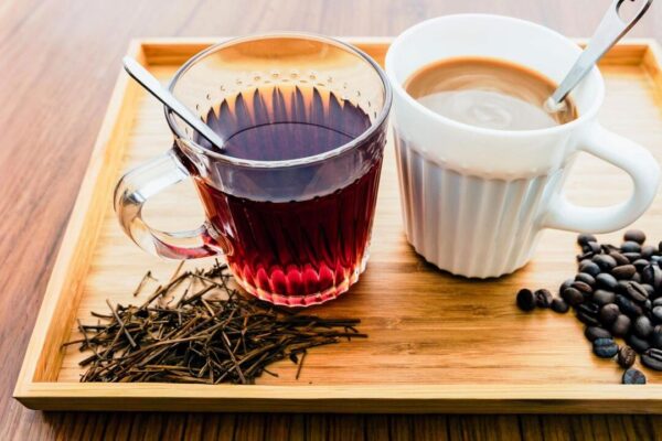 お茶はコーヒーより骨に優しい？　研究が示唆