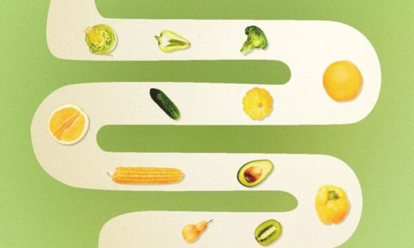 健康食品が効くかどうかは腸内細菌次第？