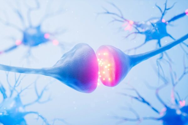 ドーパミン過多の世界で喜びを感じる方法