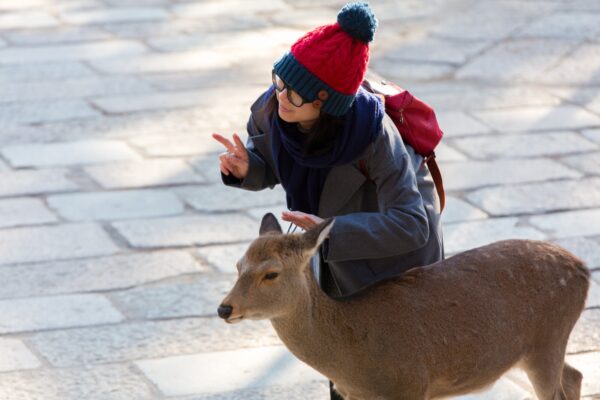 中国人観光客のトラブルを生み出す　中国共産党の「自然・道徳破壊」システム