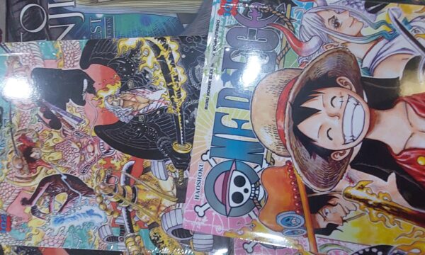 中国の海賊版漫画サイト　日本企業の合同告発で摘発　運営者を捜査