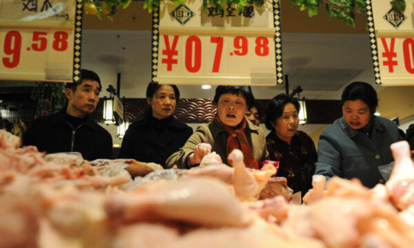 ロシア向け中国産鶏肉22トン　 抗生物質超過が発覚