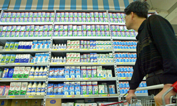 中国高級牛乳も値下げ競争か 2割引で市場混乱