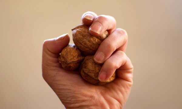 認知症予防は日常から　脳を守る生活習慣とは