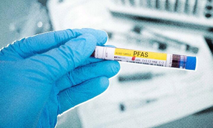 身近な化学物質が体の老化に影響する？