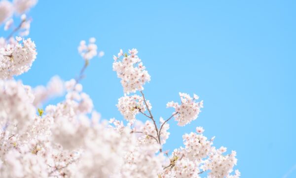 手の震え・めまいに　春の体調を整える食養生