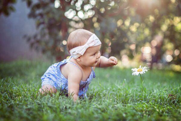 学校に入る前から始まる、子どもの本当の教育