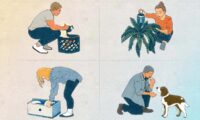 ゆったりと雑事をこなすことが　新陳代謝と心血管の健康を促進