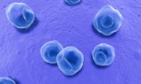 身近な細菌が認知症を悪化させる可能性