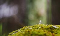 良い人生を支える静かな規律