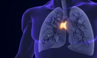 長寿の鍵は「胸腺」にある？