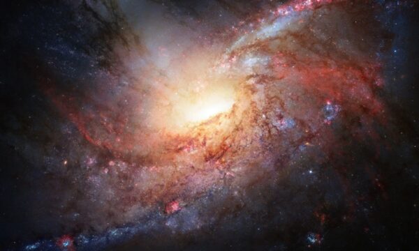 宇宙の加速膨張は止まっていない 　ノーベル賞受賞者らが「減速説」に反論